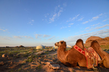 Mongolia-Gobi Steppe-Eastern Gobi Trail